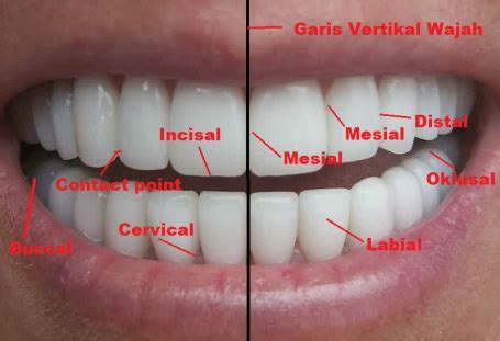 permukaan gigi memadai